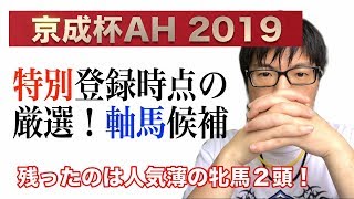 【競馬予想】京成杯AH 2019 過去10年の傾向を使ったプレ予想