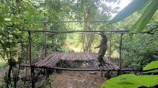 小雨丛林建造，野外生存技巧，竟用大木头在丛林建造两层棚子