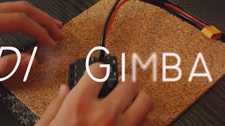 DIY 3D Druck Gimbal | Printed Gimbal | Baubericht 01