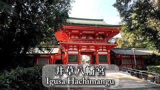 【Walk】井草八幡宮 / Igusa Hachimangu