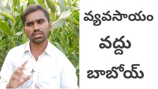 ఈ వ్యవసాయం నాకొద్దు బాబోయ్ || organic farming || natural farming || By Devilal Agriculture