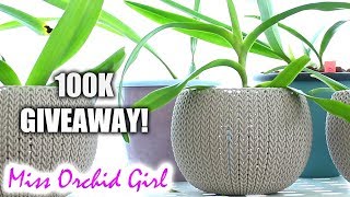 100k Subscribers Orchid Giveaway!