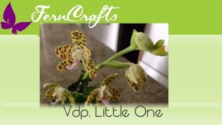 FernCrafts: Vdp. Little One in SWC  treatment - Oct, 2015