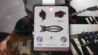 Reuss Muzz box  and DOD FX25 bass and guitar demo