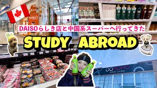 【Tina's Vlog カナダ留学＃4】カナダのダイソーらしきお店に行ってみた