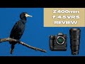 Nikon Z 400mm f/4.5 VR S Lens - Field Review - SUPER SHARP!!!