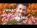 What to Plant in April | What to Grow Now!