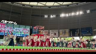 【4K】ライオンズ夏祭り2023年　ライオンズよさこい@ベルーナドーム　高知県よさこいアンバサダー絆国際チーム