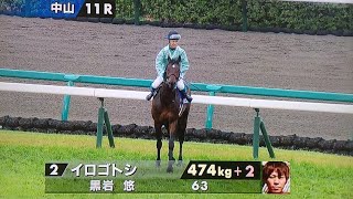 中山グランドジャンプの本馬場入場