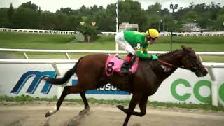 220304 C04 - SPECIAL ENERGY (BRZ) - HIPODROMO LAS PIEDRAS -