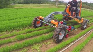 Terrateck - Cultitrack tool carrier on carrots