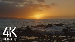 8 HOURS Ocean Sounds for Sleep, Work, Destress with Tropical Sunset Scene