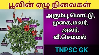 பூவின் ஏழு நிலைகள் | Poovin 7 Nilaigal in Tamil Shortcut | தமிழ் இலக்கணம் வினா விடை