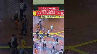 ゴゴスマの中継カメラにウォーリーが映り込みスタジオ騒然#Shorts【ウォーリーを探せ】【ナイスてっペー】【モックン】