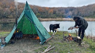 3 DAYS solo survival; Caught in a STORM with My Dog. FISH, Catch and Cook. BUSHCRAFT Winter CAMPING