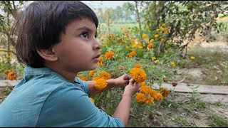 আয়াত শহীদ মিনারে ফুল দিল | Village life with Shampa