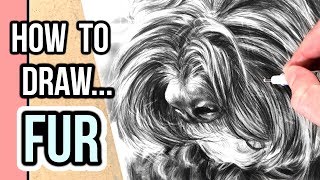 How to Draw Fur for Beginners | Drawing Realistic Fur with Graphite Step by Step