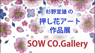 杉野宣雄の押し花アート作品展　SOW CO.Gallery