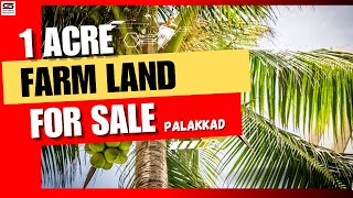 പാലക്കാടിന്റെ മണ്ണിൽ മനോഹരമായ ഒരു Farm Land വില്പനയ്ക്ക് | SHAS-1281  #palakkad #kerala #farmland