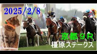 2025/2/8　京都９レース　橿原ステークス　枠順確定