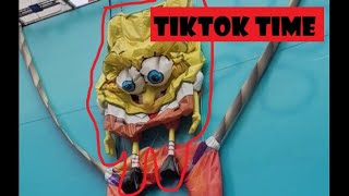 tiktoks for when you're feeling a little silly - pt. 27