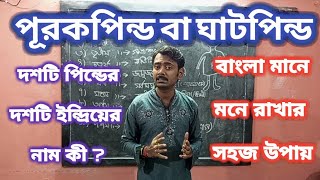 ঘাটকাজ বা পূরকপিন্ড দান,দশটি পিণ্ড কেন দান করা হয়? 10 টি অঙ্গ কোন কোন কারণে দেয়া হয়।।Purokpidodan