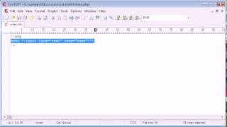 Beginner PHP Tutorial 11 Output HTML Using echo print flv
