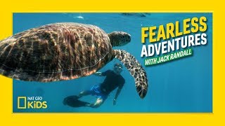 Tracking Green Turtles in the Great Barrier Reef | Fearless Adventures with Jack Randall