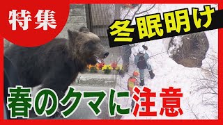 【春のクマ】札幌市西区三角山のクマ　農園荒らしの過去が判明　市街地にクマを寄せ付けないためには