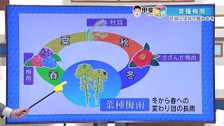 季節の代わり目に降る長雨 今の時期は「菜種梅雨」【佐賀県】 (23/03/24 18:13)