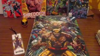 WOLVERINE ADAMANTIUM COLLECTION