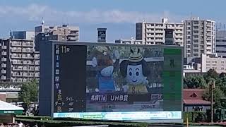 札幌競馬現地映像　UHB賞勝ち馬プルパレイ武豊20240811