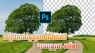 របៀបកាត់​ Background ចេញពីដើមឈើ និងរបៀបកាត់សក់ Hair cut and Remove background from Tree in Photoshop