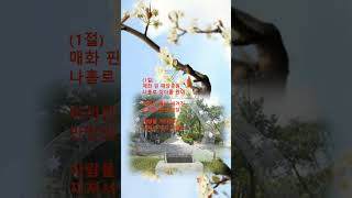 매화같은 여자(김순정.  원곡 최영주). 배경: 부안 매창공원