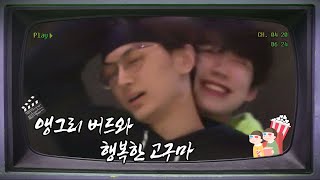 엔하이픈(ENHYPEN) 앵그리 버드와 행복한 고구마 | sunoo \u0026 jay moments