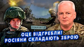 ОФІЦЕР ЗСУ: Все! Росіяни ТІКАЮТЬ з ПОКРОВСЬКА! ЗСУ рознесли 10 ТИСЯЧ ТАНКІВ. Складають ЗБРОЮ.РОЗГРОМ