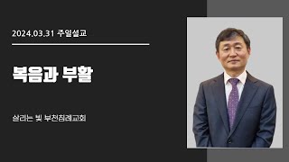 복음과 부활│이영호목사│살리는 빛 부천침례교회 주일예배│2024/03/31