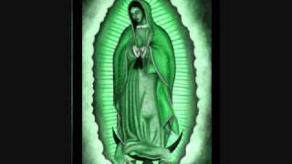 Virgen De Guadalupe-Colombias Rebajadas