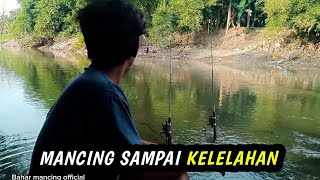 Mancing baung, ikan sidat, ikan tawes dan ikan patin di sungai sampai seharian