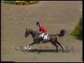 olympics 1984 los angeles equestrian show jumping fgr paul schockemohle imasportsphile