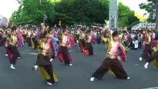 2014/5/3　よさこい演舞連ほろろ　丸亀お城祭り