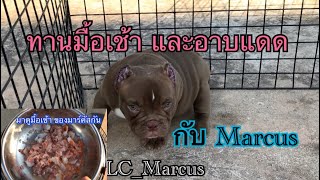 มาร์คัสทานอะไรในมื้อเช้า มาดูกัน #อเมริกันบูลลี่ #Marcus