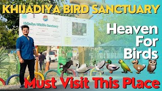 Khijadiya Bird Sanctuary😍 | Bird Sanctuary | Gujarat Tourism | Vlog 28 #vlog #tourism #birds