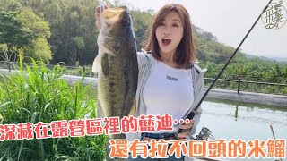 【釣魚日記】查魚飯後 EP 01 藏有藍迪鱸魚的露營區....還有拉不回頭的破米烏溜.....Fishing｜采蓁 Patti ft. 珍愛幸福露營區