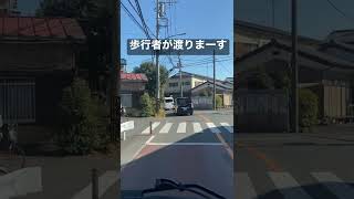 カーブの先にある横断歩道って見落としがちで危険ですよね #shorts