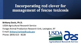 Incorporating red clover for management of fescue toxicosis-Brittany Davis