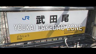 YOUKAI TAKEDAO ZONE