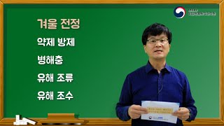 ⛄️❄️추운 겨울 전정 방법과 병해충 종합 관리│동계전정│방제방법│배연구소