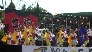 夢舞隊 2010　こいや祭り　１日目　メイン会場