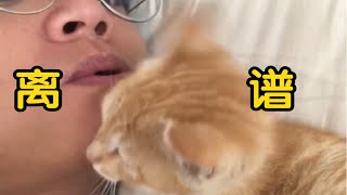 捡来的小猫咪：现在后悔还来得及吗？